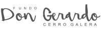 logotipo fundo don gerardo