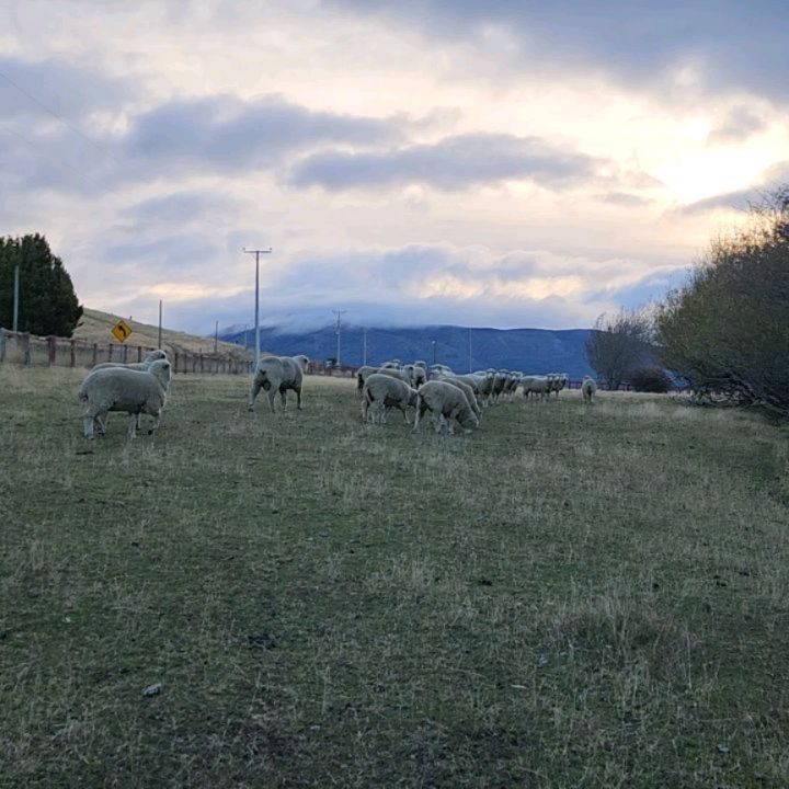 Instagram post from fundodongerardo. This post is in position 4.