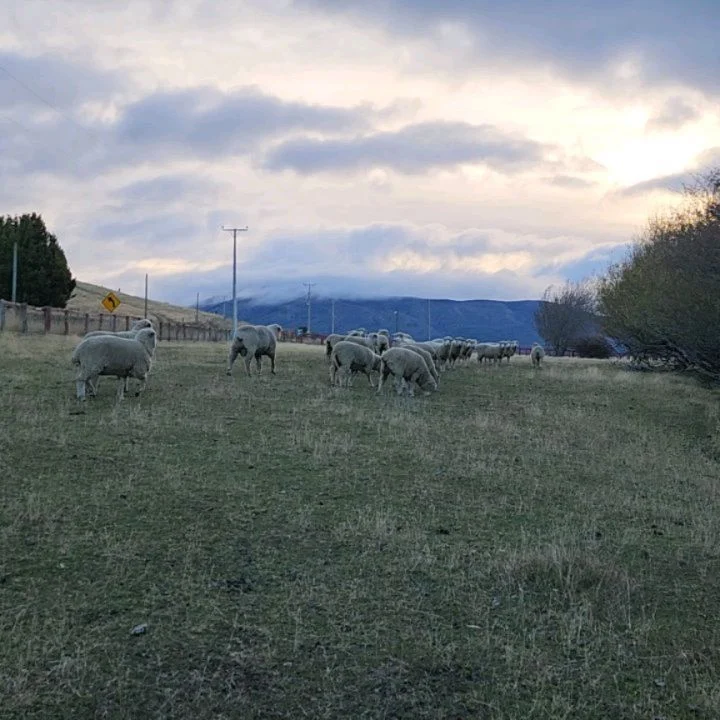 Instagram post from fundodongerardo. This post is in position 4.