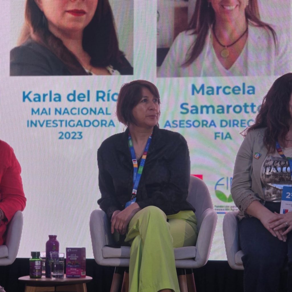 Instagram post from fundodongerardo. This post is in position 5.