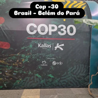 Instagram post from fundodongerardo. This post is in position 4.