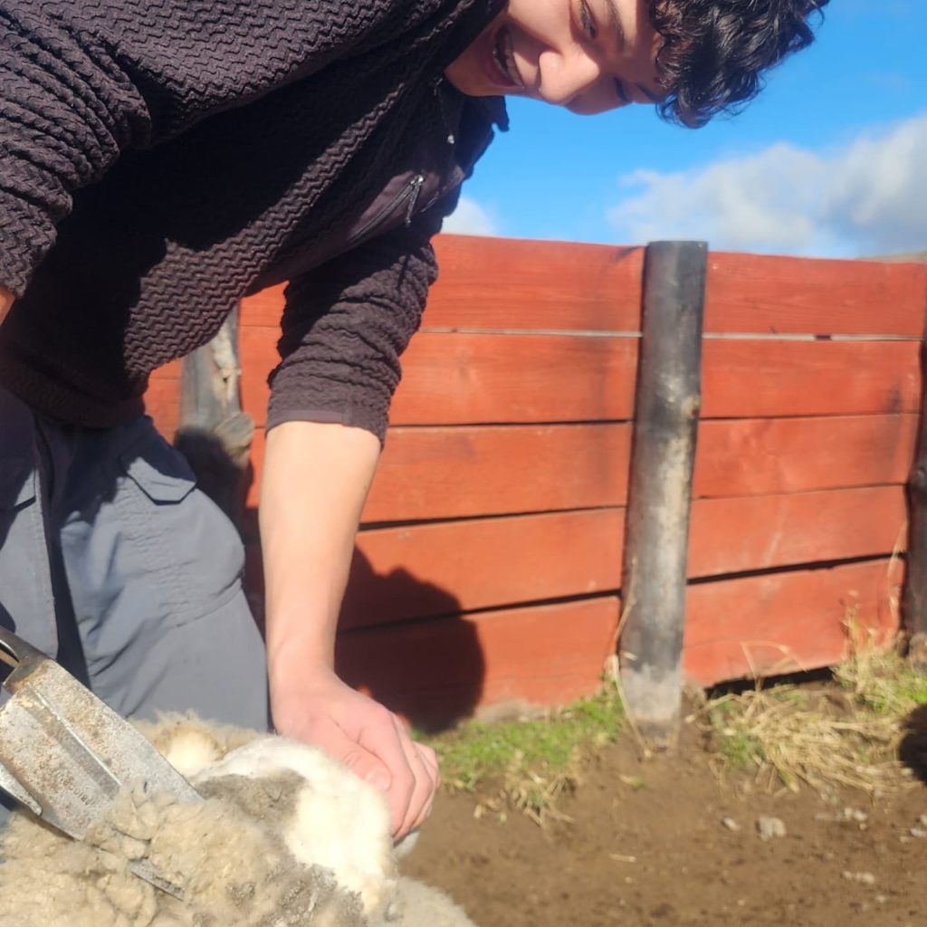 Instagram post from fundodongerardo. This post is in position 6.