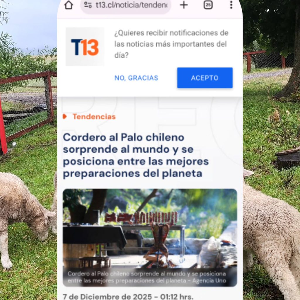 Instagram post from fundodongerardo. This post is in position 11.