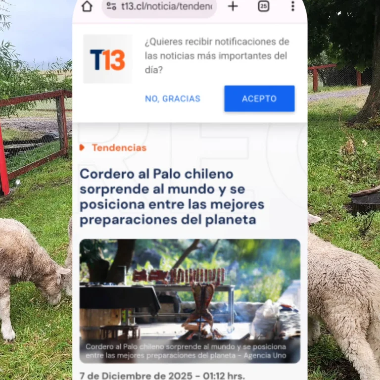 Instagram post from fundodongerardo. This post is in position 11.