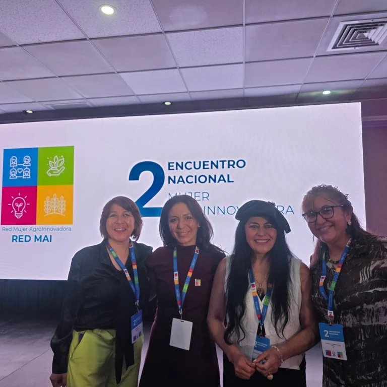 Instagram post from fundodongerardo. This post is in position 1.