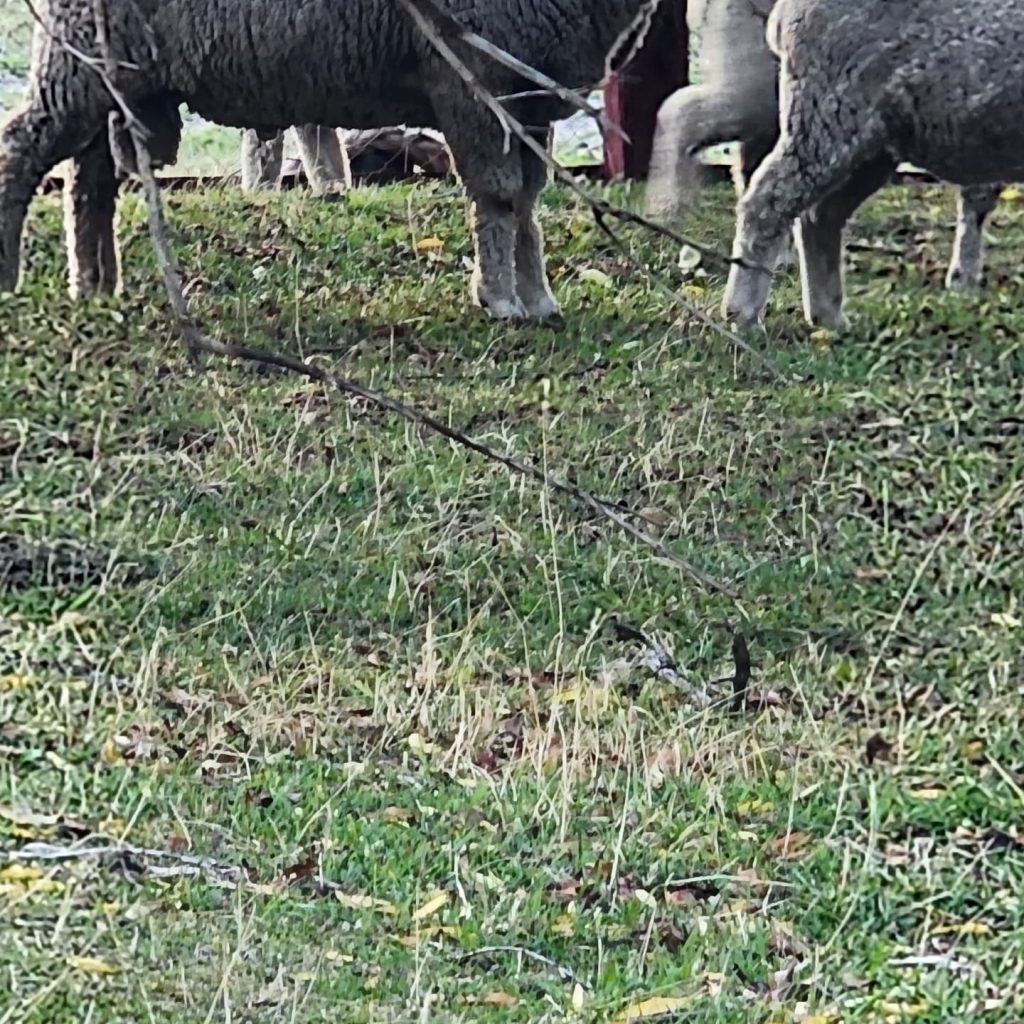 Instagram post from fundodongerardo. This post is in position 2.