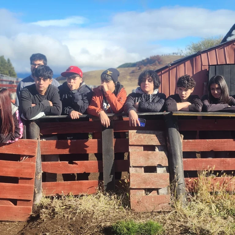 Instagram post from fundodongerardo. This post is in position 3.