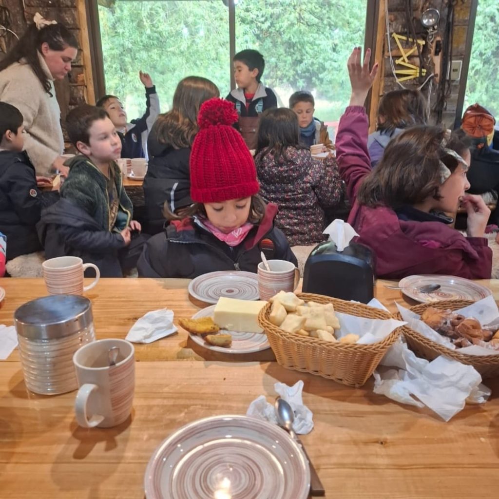 Instagram post from fundodongerardo. This post is in position 8.