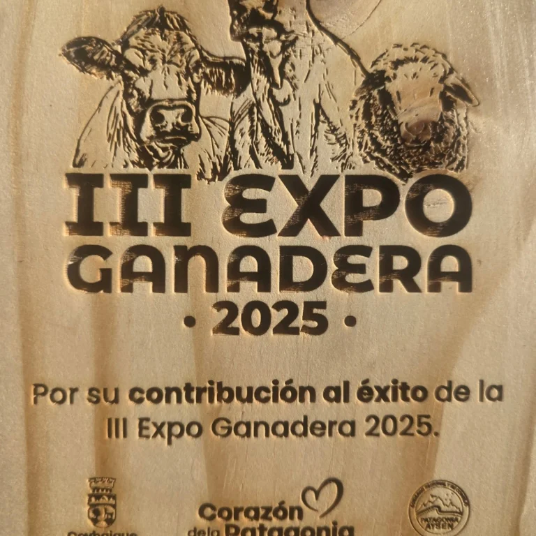 Instagram post from fundodongerardo. This post is in position 0.