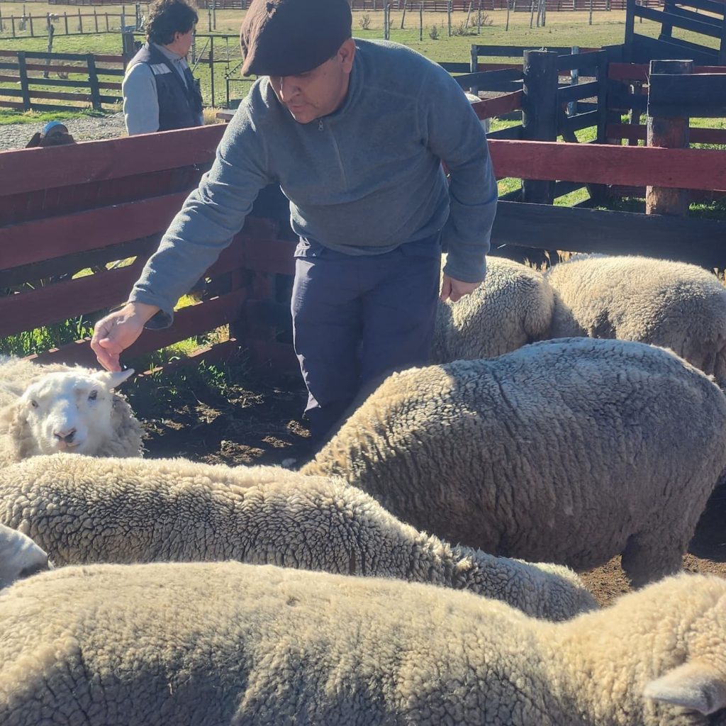 Instagram post from fundodongerardo. This post is in position 1.