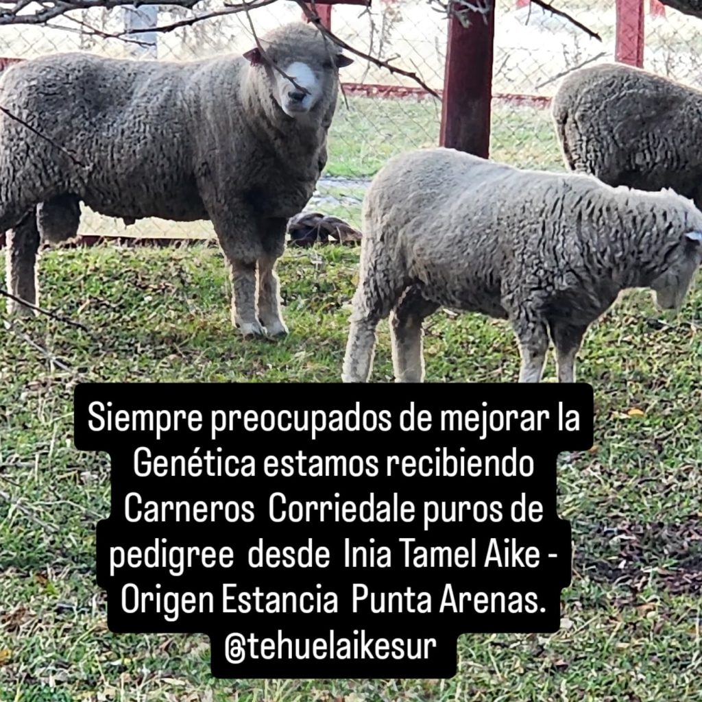 Instagram post from fundodongerardo. This post is in position 0.