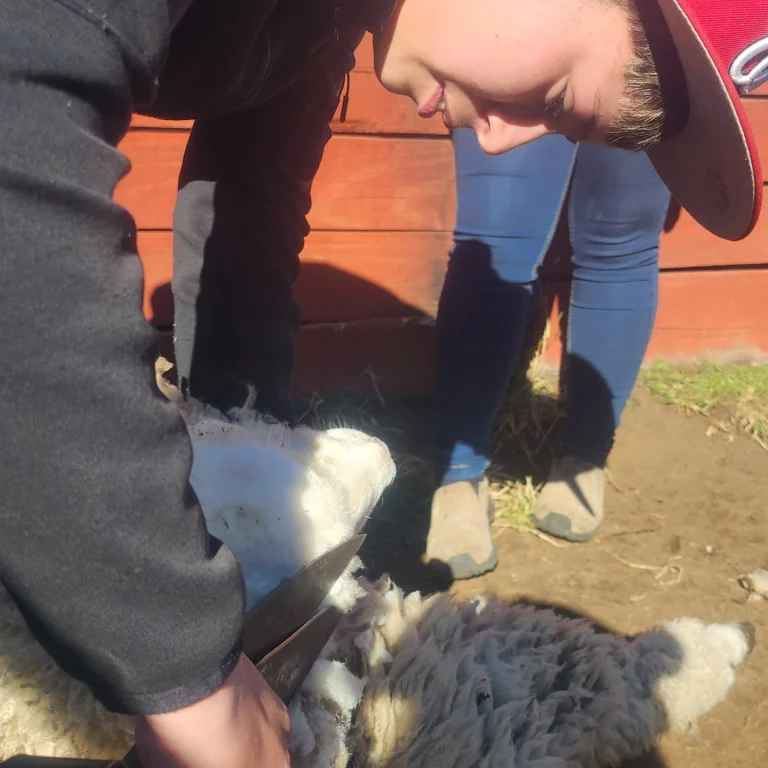 Instagram post from fundodongerardo. This post is in position 5.