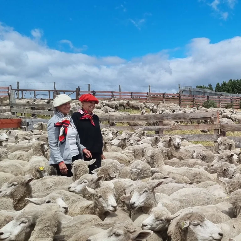 Instagram post from fundodongerardo. This post is in position 6.