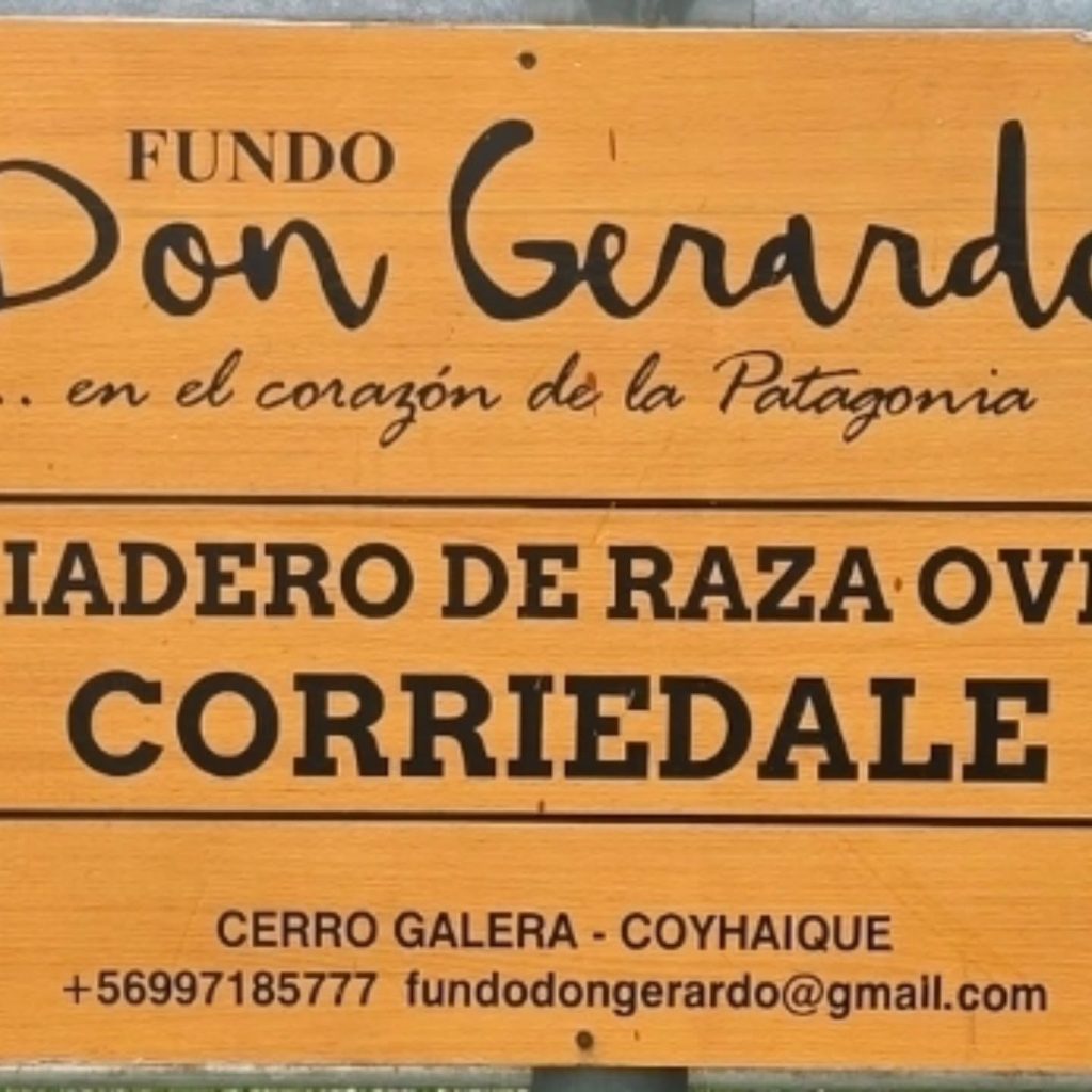 Instagram post from fundodongerardo. This post is in position 2.