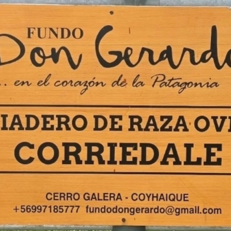 Instagram post from fundodongerardo. This post is in position 2.