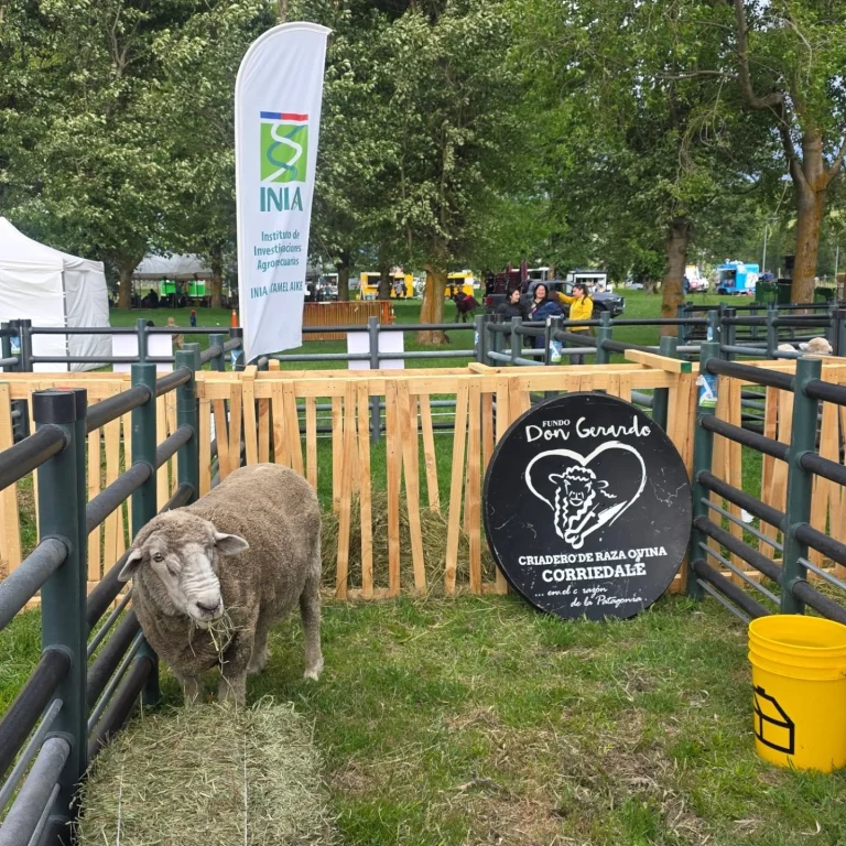 Instagram post from fundodongerardo. This post is in position 3.