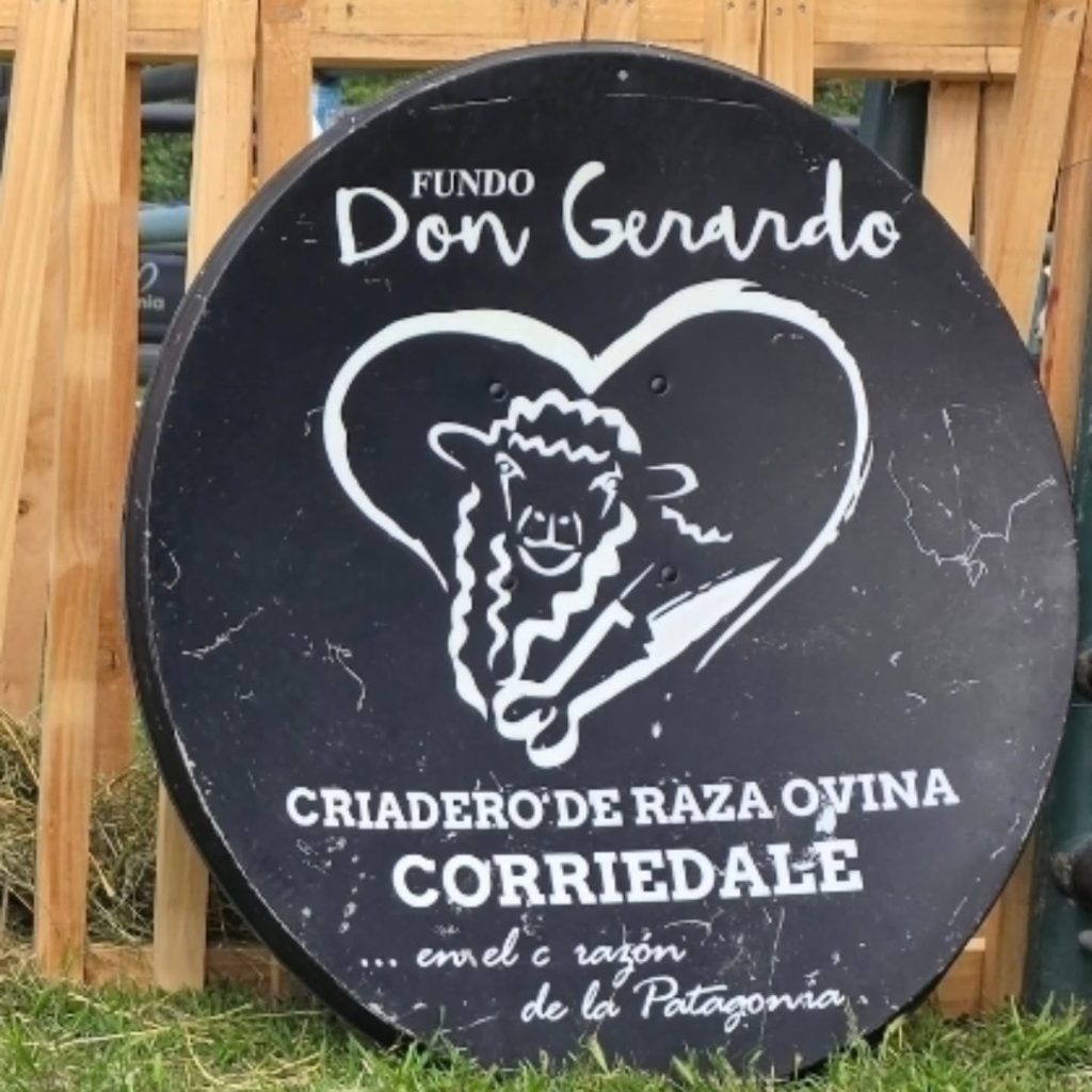 Instagram post from fundodongerardo. This post is in position 1.