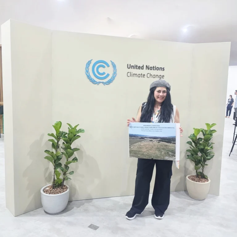 Instagram post from fundodongerardo. This post is in position 14.