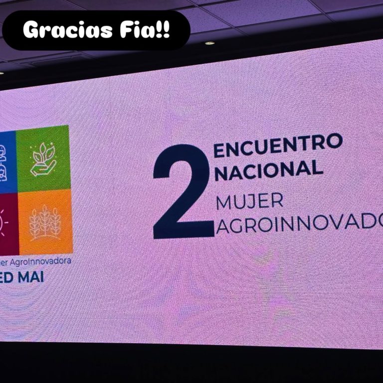 Instagram post from fundodongerardo. This post is in position 2.