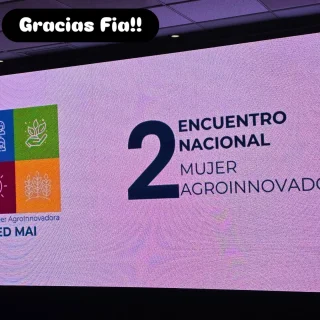 Instagram post from fundodongerardo. This post is in position 3.