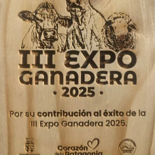 Instagram post from fundodongerardo. This post is in position 1.