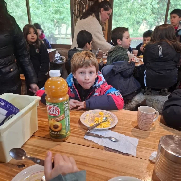 Instagram post from fundodongerardo. This post is in position 11.