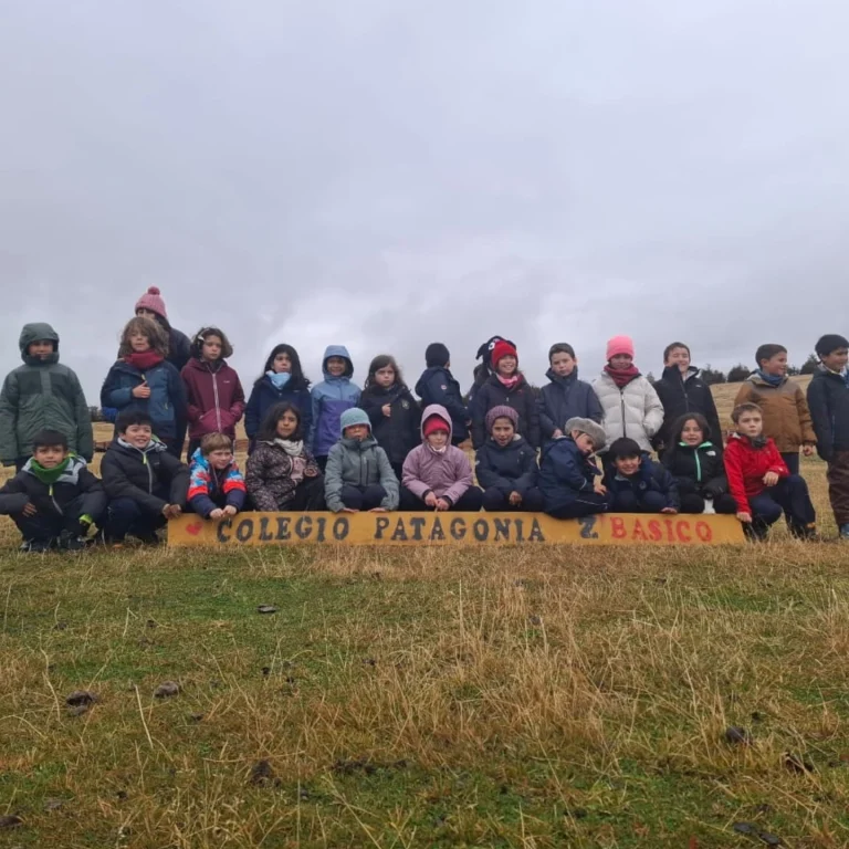 Instagram post from fundodongerardo. This post is in position 7.