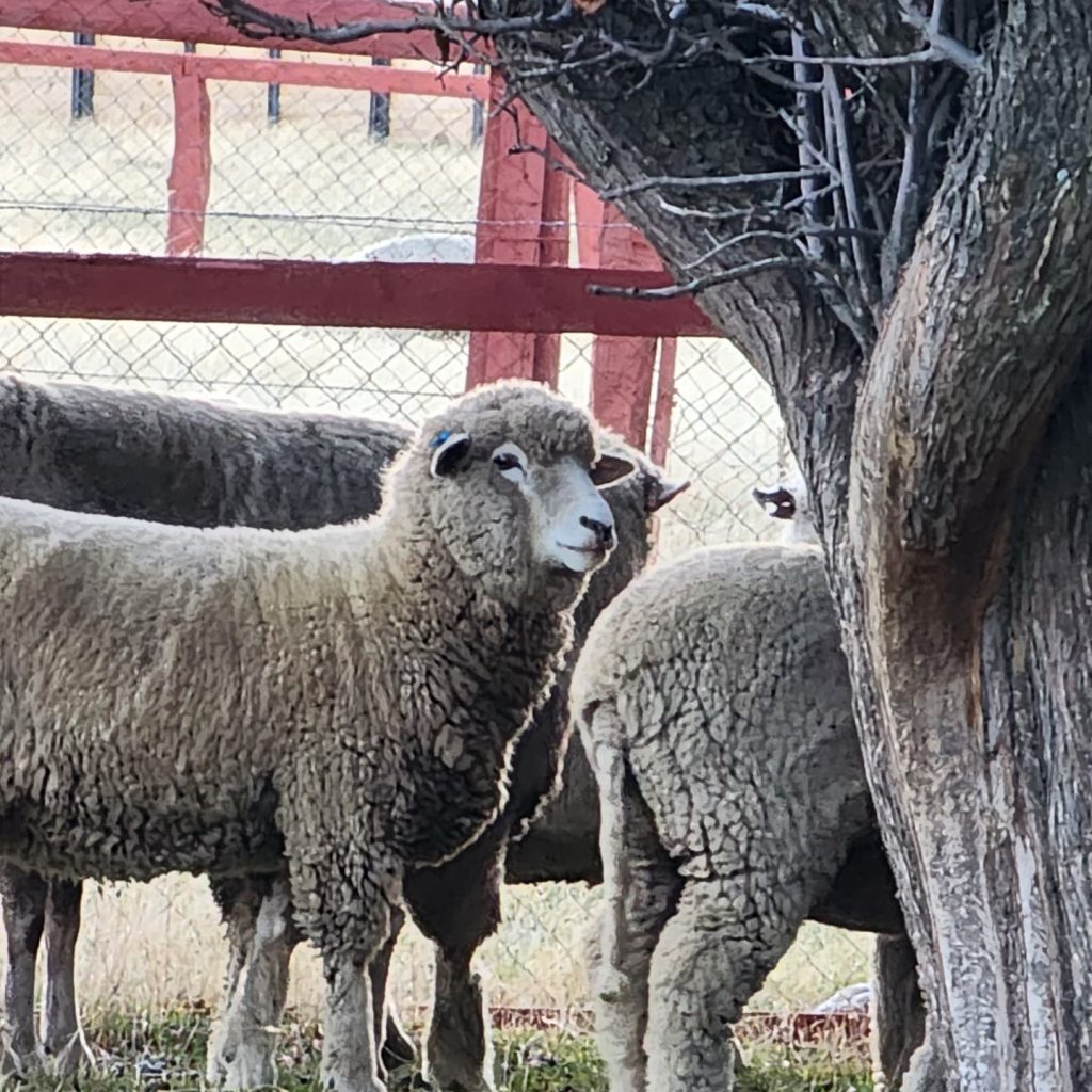 Instagram post from fundodongerardo. This post is in position 5.