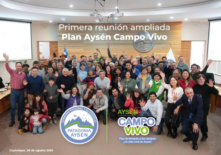 Instagram post from fundodongerardo. This post is in position 4.