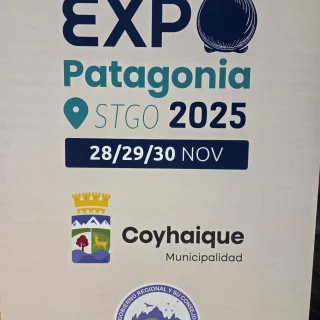 Instagram post from fundodongerardo. This post is in position 2.